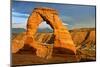 Delicate Arch - Landscape - Arches National Park - Utah - United States-Philippe Hugonnard-Mounted Premium Photographic Print