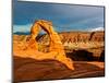 Delicate Arch - Landscape - Arches National Park - Utah - United States-Philippe Hugonnard-Mounted Photographic Print