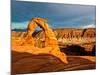 Delicate Arch - Landscape - Arches National Park - Utah - United States-Philippe Hugonnard-Mounted Photographic Print