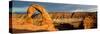 Delicate Arch - Panoramic Landscape - Arches National Park - Utah - United States-Philippe Hugonnard-Stretched Canvas