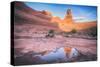 Delicate Arch Wide View and Reflection, Arches National Park-Vincent James-Stretched Canvas