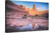 Delicate Arch Wide View and Reflection, Arches National Park-Vincent James-Stretched Canvas
