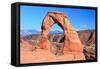 Delicate Arch-Tupungato-Framed Stretched Canvas