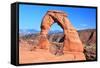 Delicate Arch-Tupungato-Framed Stretched Canvas