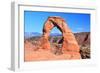 Delicate Arch-Tupungato-Framed Photographic Print