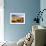 Delicate Arch-Philippe Hugonnard-Framed Giclee Print displayed on a wall