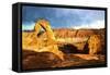 Delicate Arch-Philippe Hugonnard-Framed Stretched Canvas