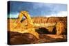 Delicate Arch-Philippe Hugonnard-Stretched Canvas