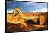 Delicate Arch-Philippe Hugonnard-Framed Stretched Canvas