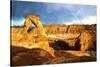 Delicate Arch-Philippe Hugonnard-Stretched Canvas