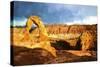 Delicate Arch-Philippe Hugonnard-Stretched Canvas