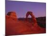 Delicate Arch-Charles Bowman-Mounted Photographic Print