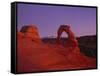 Delicate Arch-Charles Bowman-Framed Stretched Canvas