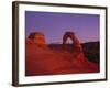 Delicate Arch-Charles Bowman-Framed Photographic Print
