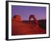 Delicate Arch-Charles Bowman-Framed Photographic Print