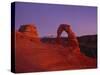 Delicate Arch-Charles Bowman-Stretched Canvas