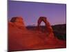 Delicate Arch-Charles Bowman-Mounted Photographic Print