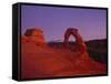 Delicate Arch-Charles Bowman-Framed Stretched Canvas