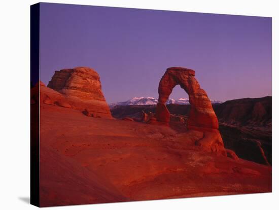 Delicate Arch-Charles Bowman-Stretched Canvas