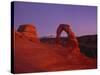 Delicate Arch-Charles Bowman-Stretched Canvas
