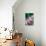 Delicate Begonia II-Erin Berzel-Photographic Print displayed on a wall