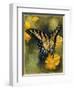 Delicate Belle-Barbara Keith-Framed Giclee Print