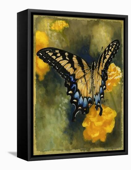 Delicate Belle-Barbara Keith-Framed Stretched Canvas