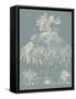 Delicate Besler Botanical I-Vision Studio-Framed Stretched Canvas