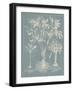 Delicate Besler Botanical II-Vision Studio-Framed Art Print