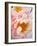 Delicate Blossom III-Nicole Katano-Framed Photo