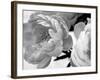 Delicate Blossom-Nicole Katano-Framed Photo