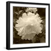 Delicate Blossom-Herb Dickinson-Framed Photographic Print