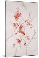 Delicate Blossoms II-Rikki Drotar-Mounted Giclee Print