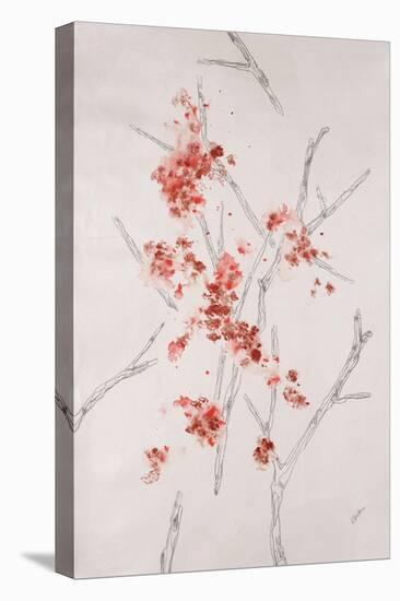 Delicate Blossoms II-Rikki Drotar-Stretched Canvas