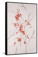 Delicate Blossoms II-Rikki Drotar-Framed Stretched Canvas