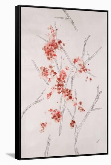 Delicate Blossoms II-Rikki Drotar-Framed Stretched Canvas