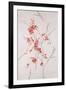 Delicate Blossoms II-Rikki Drotar-Framed Giclee Print