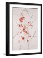 Delicate Blossoms II-Rikki Drotar-Framed Giclee Print