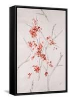 Delicate Blossoms II-Rikki Drotar-Framed Stretched Canvas