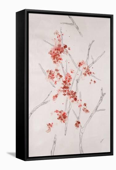 Delicate Blossoms II-Rikki Drotar-Framed Stretched Canvas