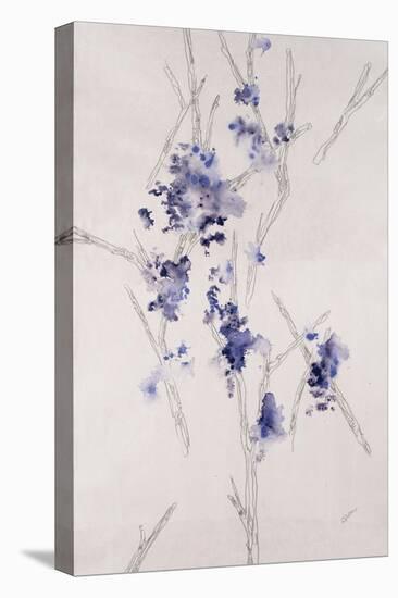 Delicate Blossoms III-Rikki Drotar-Stretched Canvas