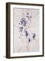 Delicate Blossoms III-Rikki Drotar-Framed Giclee Print