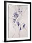 Delicate Blossoms III-Rikki Drotar-Framed Giclee Print