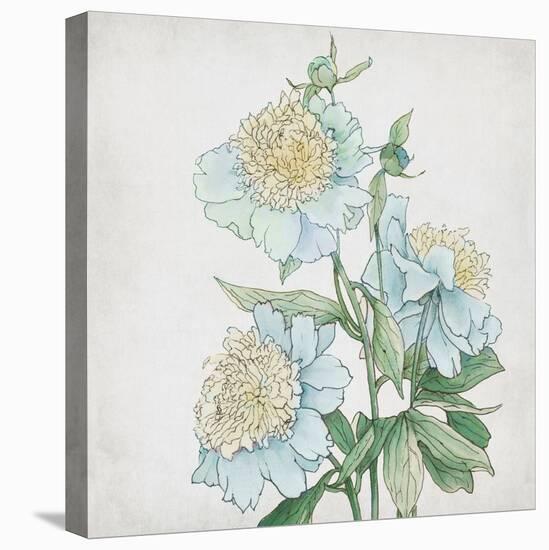 Delicate Botanical Blue I-Alex Black-Stretched Canvas