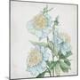 Delicate Botanical Blue I-Alex Black-Mounted Art Print