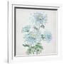 Delicate Botanical Blue II-Alex Black-Framed Art Print