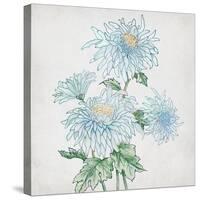 Delicate Botanical Blue II-Alex Black-Stretched Canvas