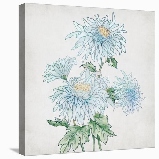 Delicate Botanical Blue II-Alex Black-Stretched Canvas