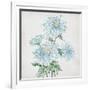 Delicate Botanical Blue II-Alex Black-Framed Art Print