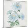 Delicate Botanical Blue II-Alex Black-Mounted Art Print